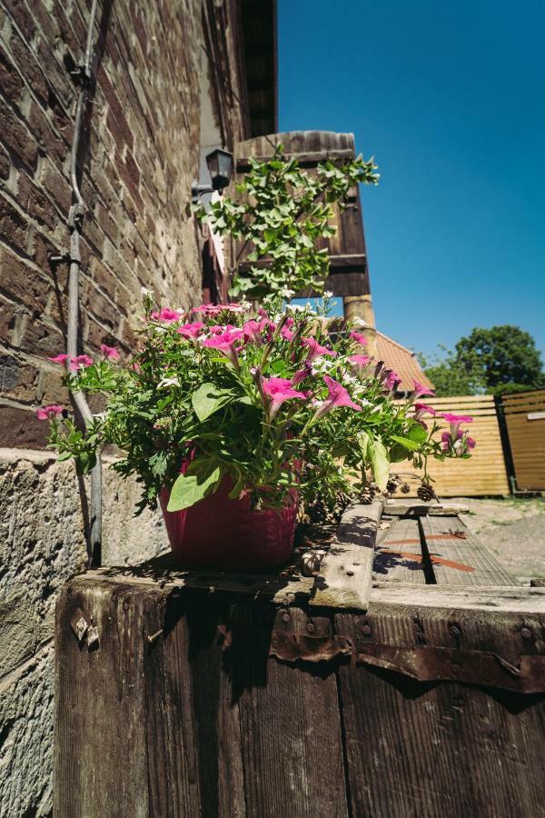 Ferienwohnungen an der Wassermühle Quedlinburg Exterior foto